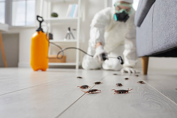 Trusted Fumigation Services service in Beaver Falls, PA - Nex Pest Control