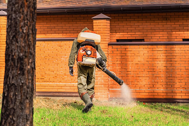 Trusted Emergency Pest Control service in Beaver Falls, PA - Nex Pest Control